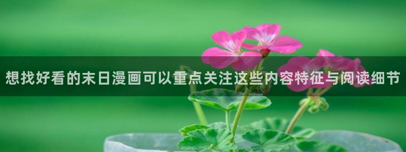 樱花日语课程网站