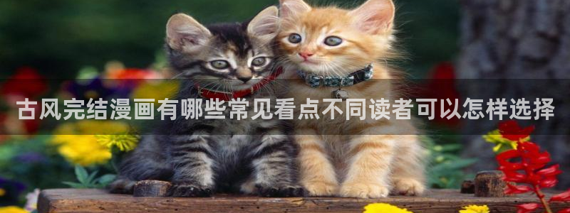 樱花日语网站入口