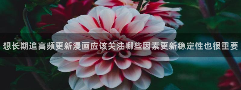 樱花日语单词学习