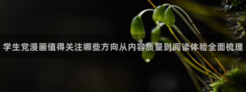 樱花日语零基础网课