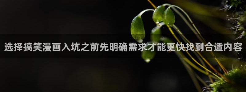 樱花日语翻译学习