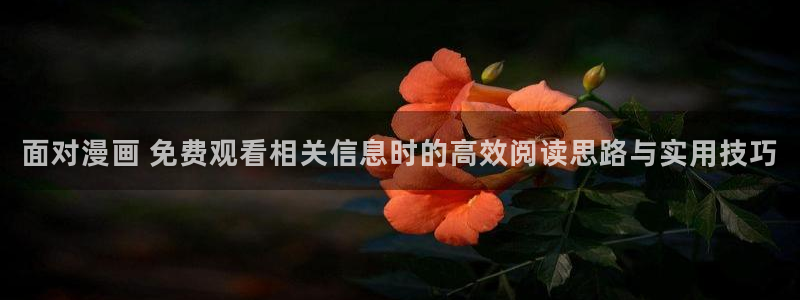樱花日语题库：面对漫画 免费观看相关信息时的高效阅读思路与实用技巧