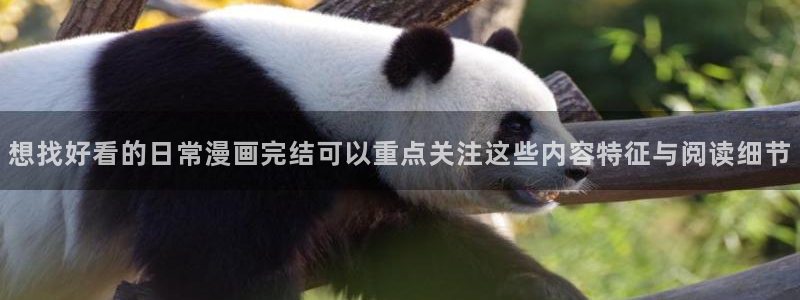樱花日语学习平台