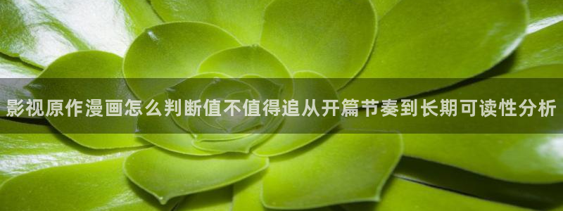 樱花日语进阶